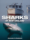 Sharks of New England (eBook)